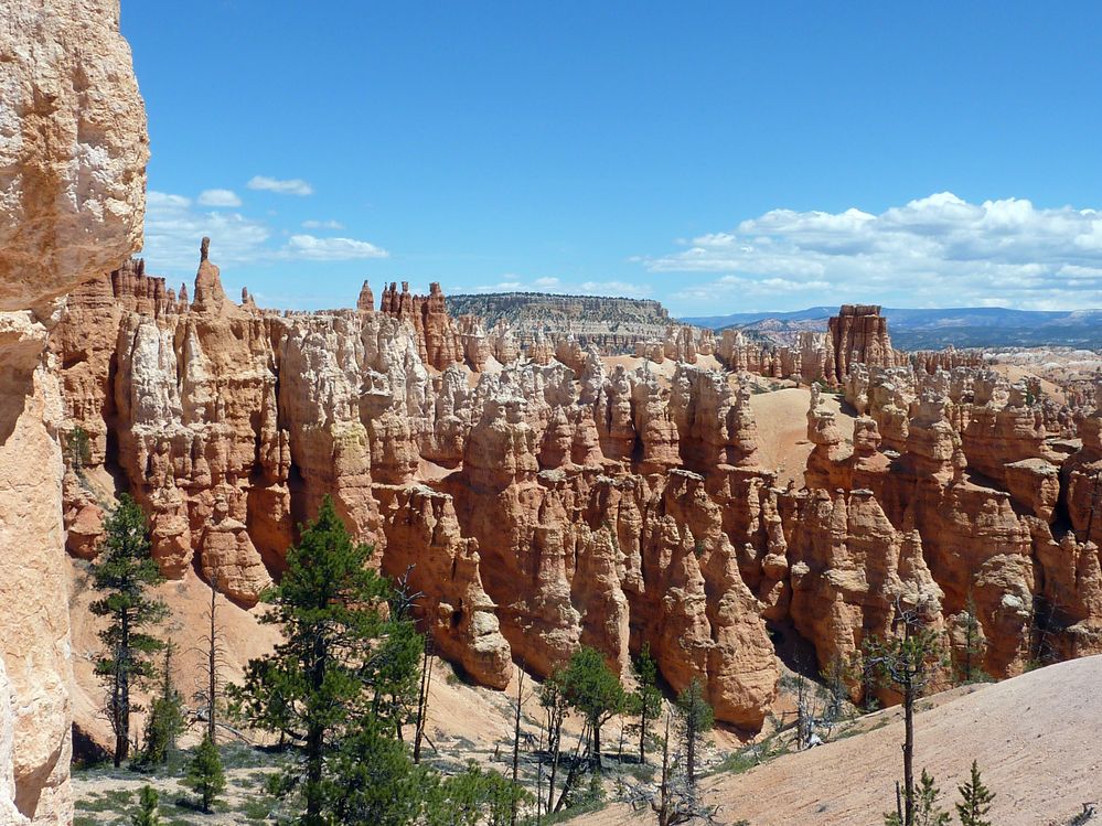 bryce canyon (87).JPG